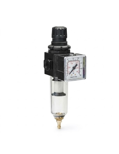 ANI E/14 (1/4") Compressed Air Filter-Regulator | Auto-Colors